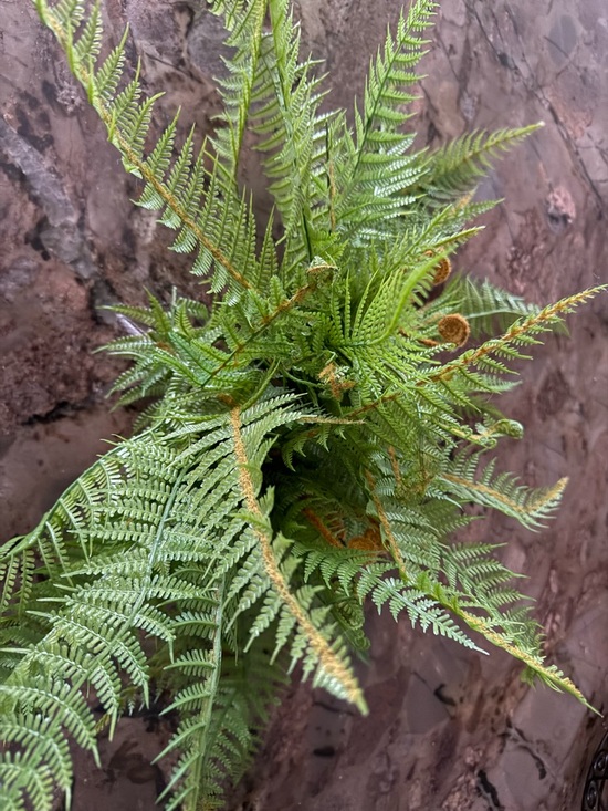 Other - 🆓 with purchase Lifelike Fern Home Accent Plant
